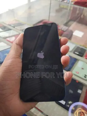 Apple iPhone 12 (Used)