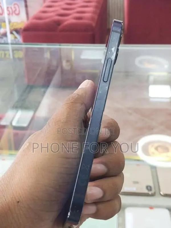 Apple iPhone 12 (Used)