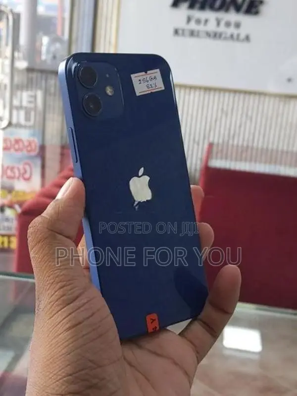 Apple iPhone 12 (Used)