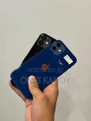 Apple iPhone 12 128GB (Used)