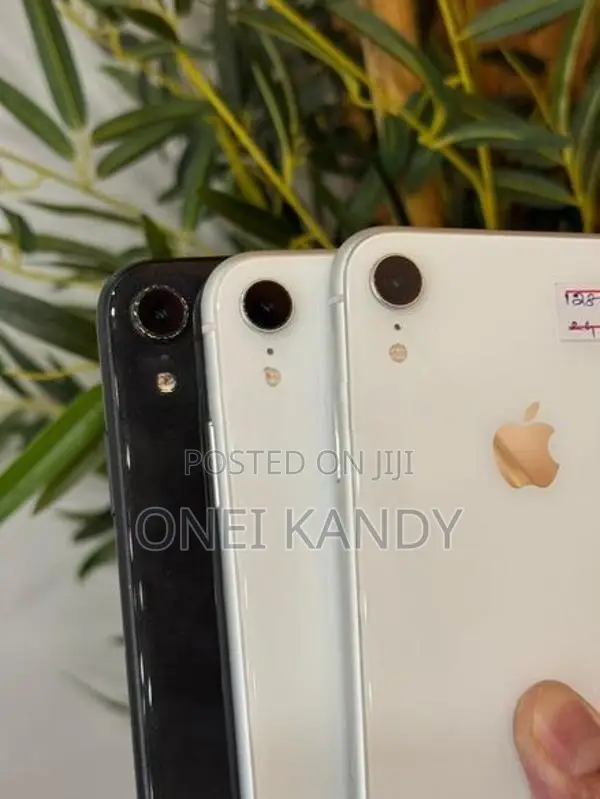 Apple iPhone XR 128GB (Used)