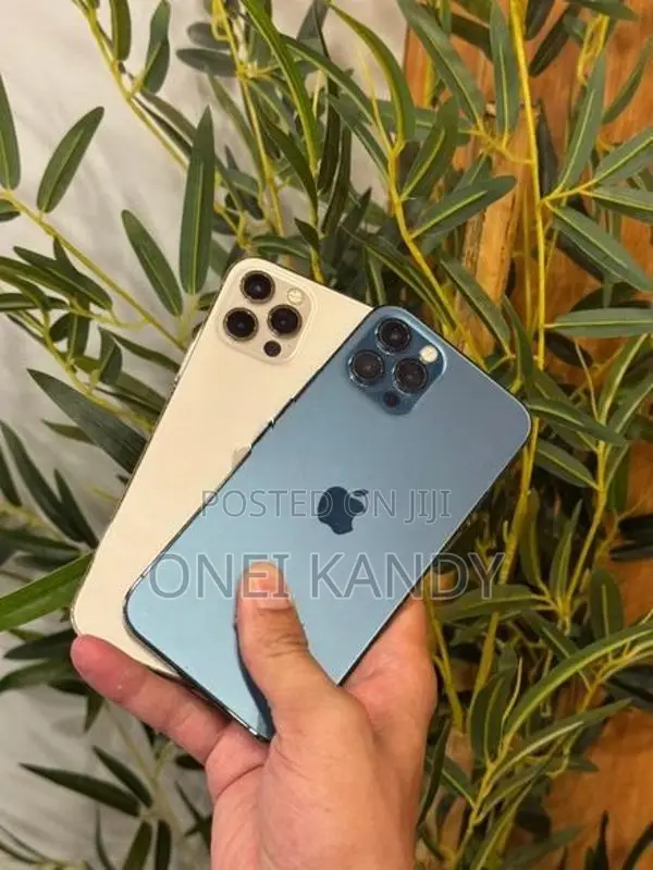Apple iPhone 12 Pro 256GB (Used)