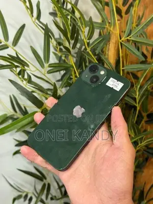 Apple iPhone 13 256GB (Used)