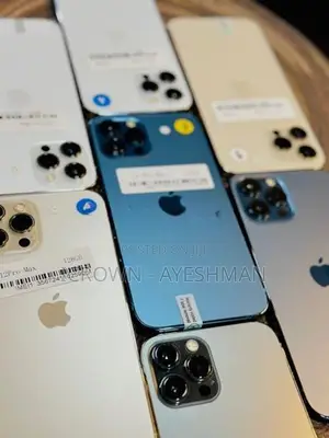 Apple iPhone 12 Pro Max 256GB (Used)