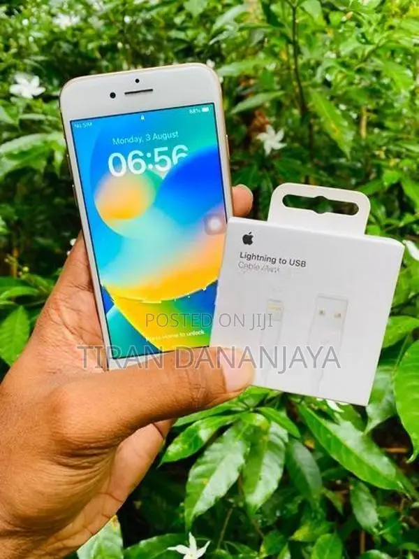 Apple iPhone 8 256GB (Used)