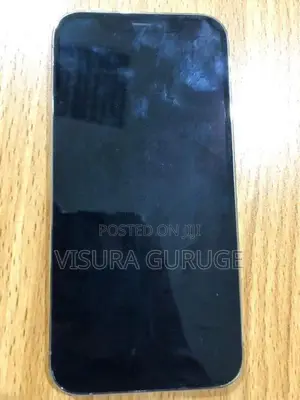 Apple iPhone 12 Pro 256GB (Used)