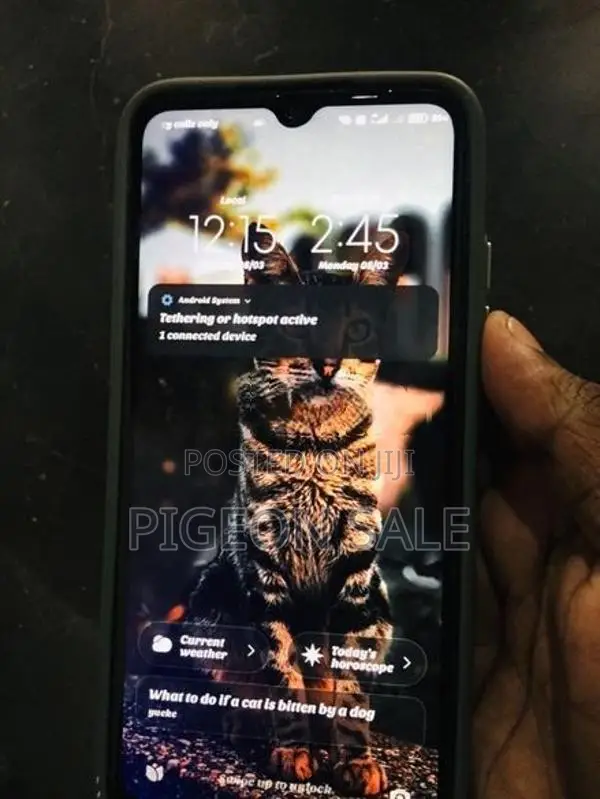 Xiaomi Redmi 9A (Used)