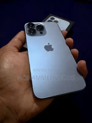 Apple iPhone 13 Pro (Used)