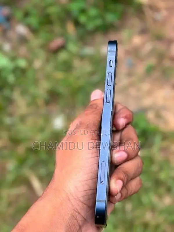 Apple iPhone 12 (Used)