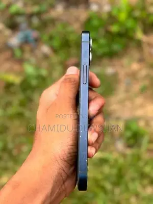 Apple iPhone 12 (Used)
