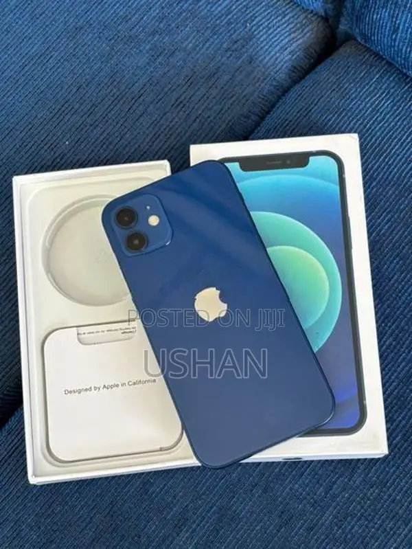 Apple iPhone 12 (Used)