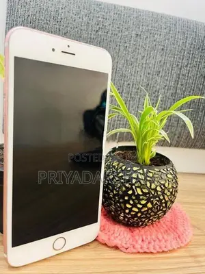 Apple iPhone 6S Plus (Used)
