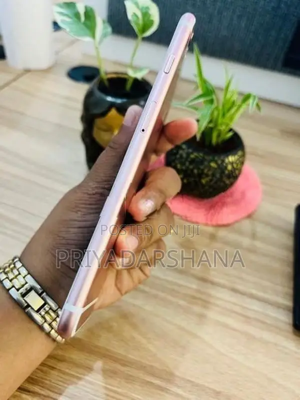 Apple iPhone 6S Plus (Used)