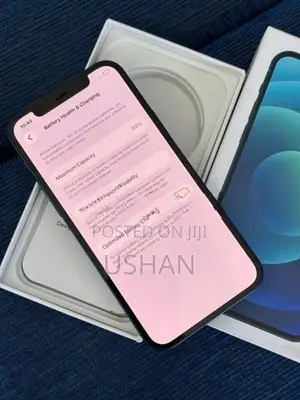 Apple iPhone 12 (Used)