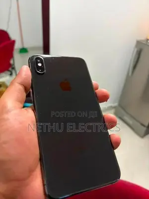 Apple iPhone XS Max 256Gb (Used)