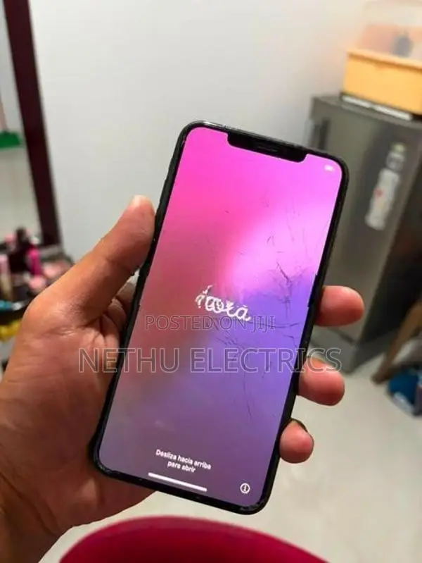 Apple iPhone XS Max 256Gb (Used)