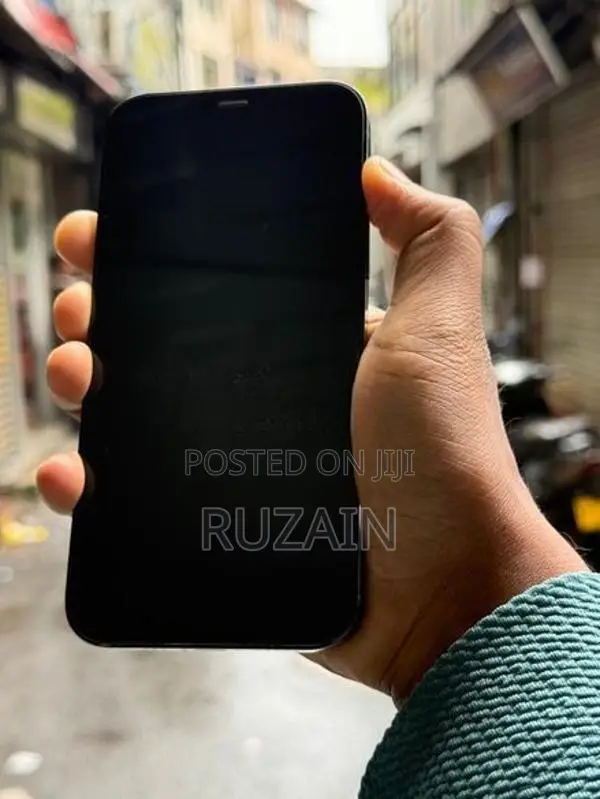 Apple iPhone 12 Pro IP (Used)