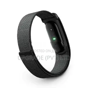 Google Fitbit Air