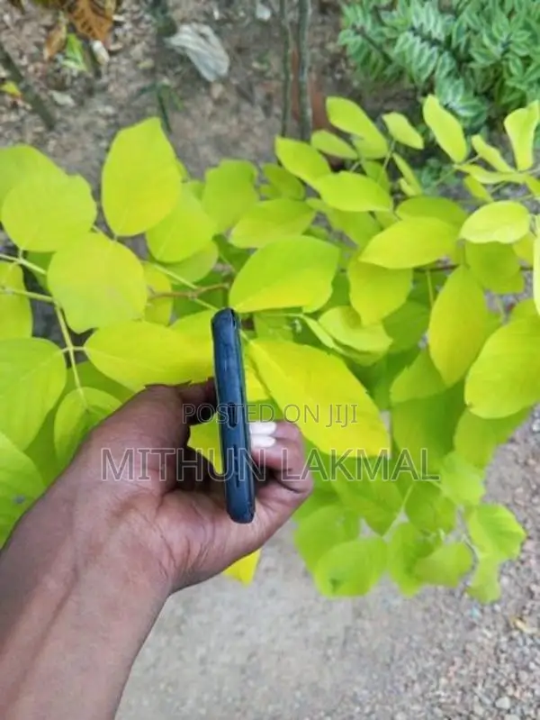 TCL 30 se 128 (Used)