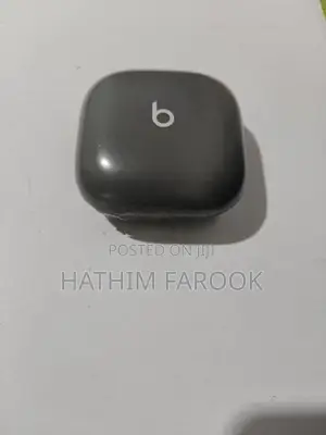 Beats Fit Grey Buds