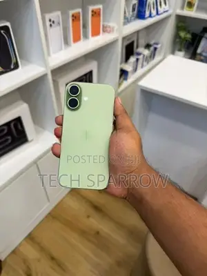 Apple iPhone 17 (Used)