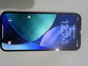 Apple iPhone 12 Pro Max (Used)