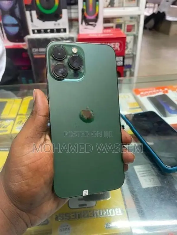 Apple iPhone 13 Pro Max 256GB (Used)