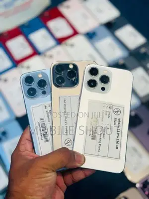 Apple iPhone 13 Pro 256GB (Used)