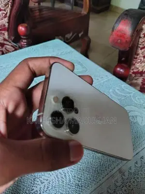 Apple iPhone 13 Pro (Used)