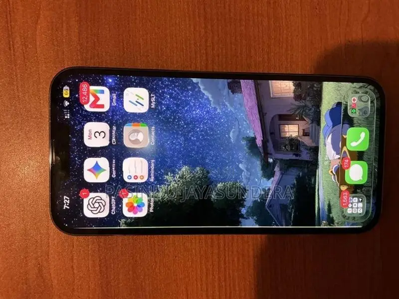 Apple iPhone 13 Pro Max (Used)