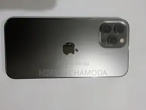 Apple iPhone 12 Pro Max (Used)