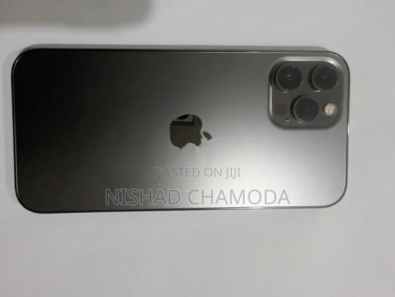 Apple iPhone 12 Pro Max (Used)