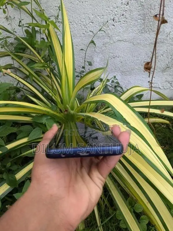 Samsung Galaxy F05 (Used)