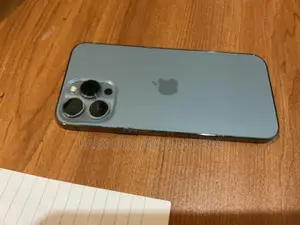 Apple iPhone 13 Pro Max (Used)