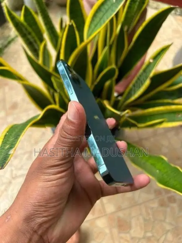 Apple iPhone 12 Pro (Used)