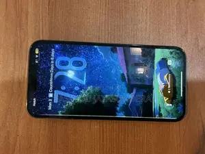 Apple iPhone 13 Pro Max (Used)