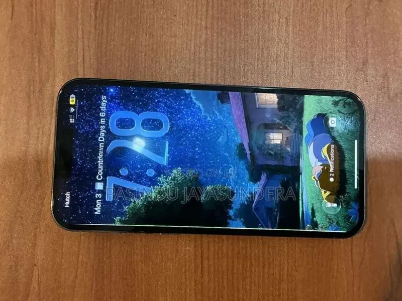 Apple iPhone 13 Pro Max (Used)