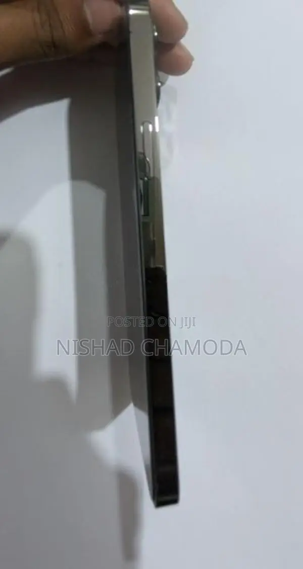 Apple iPhone 12 Pro Max (Used)