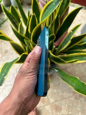 Apple iPhone 12 Pro (Used)