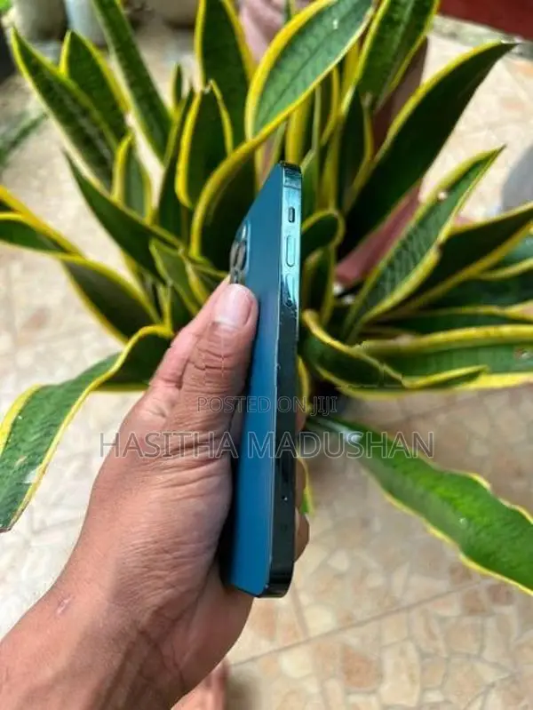 Apple iPhone 12 Pro (Used)