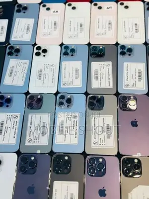 Apple iPhone 13 Pro 256GB (Used)