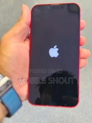 Apple iPhone 13 128GB (Used)