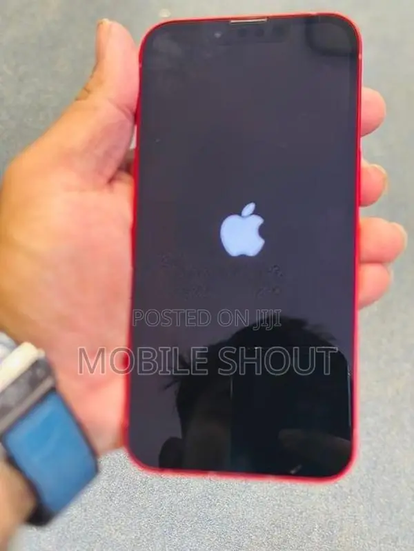 Apple iPhone 13 128GB (Used)