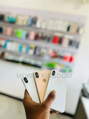 Apple iPhone XS Max 256GB (Used)