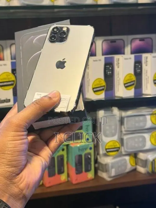 Apple iPhone 12 Pro 256GB (Used)