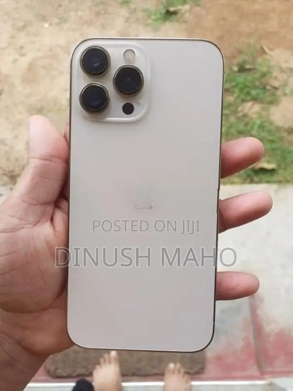 Apple iPhone 13 Pro Max (Used)