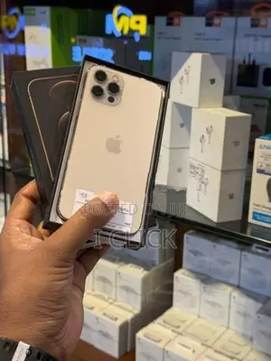 Apple iPhone 12 Pro 256GB (Used)