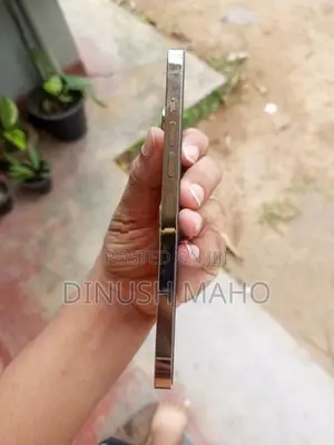 Apple iPhone 13 Pro Max (Used)
