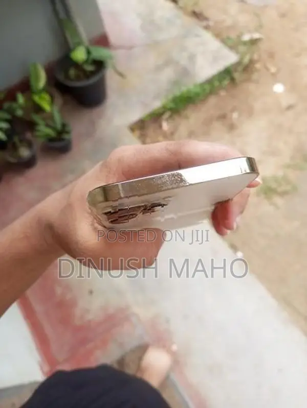 Apple iPhone 13 Pro Max (Used)
