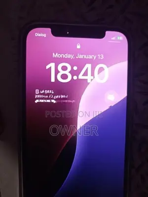 Apple iPhone 12 Pro 256GB (Used)